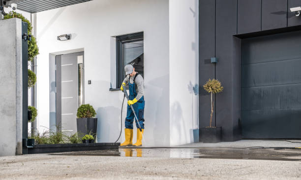 Pre-Holiday Cleaning in Ixonia, WI